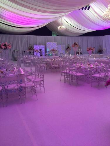 11013345 608005189330532 7117298718815543874 n