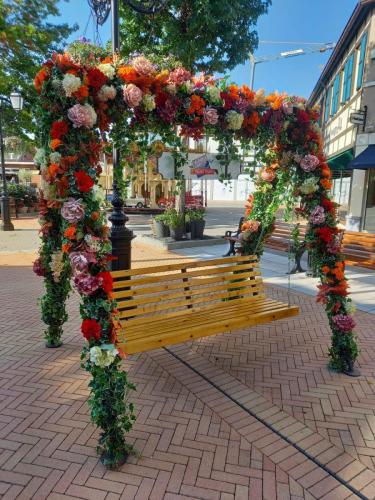 243200413 2304306906367010 9011591097100001362 n