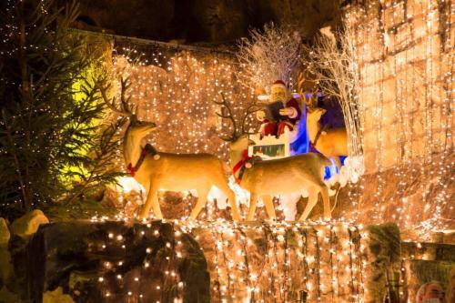 993847 713744095423307 3970097413303236742 n